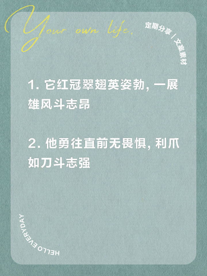 世俱杯-不求一胜！球队群雄斗志，大杀一方