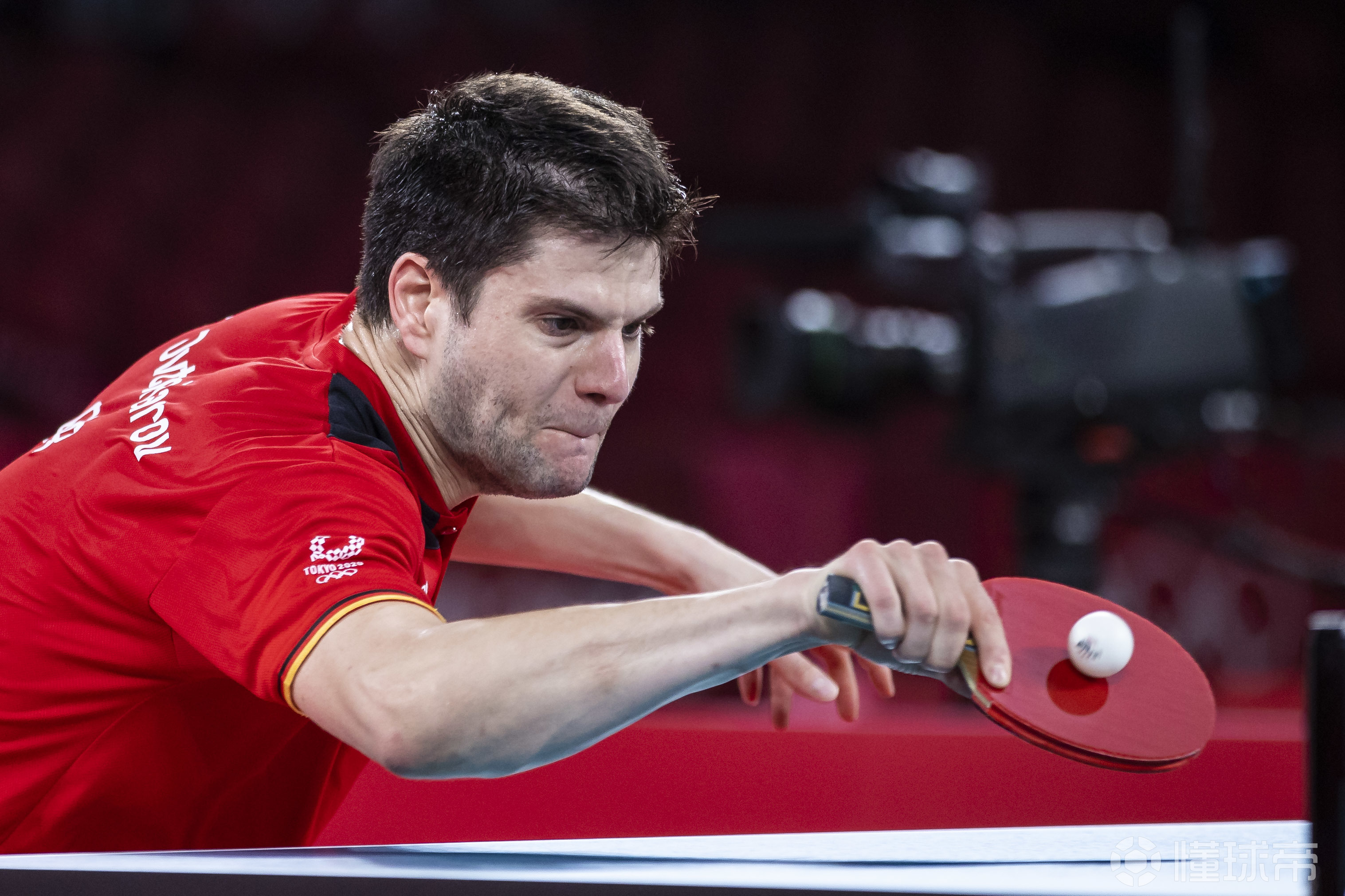 日本队鏖战波兰队,奥恰洛夫带队取胜 日本队鏖战波兰队,奥恰洛夫带队取胜